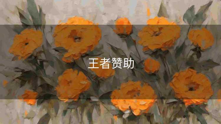 王者赞助