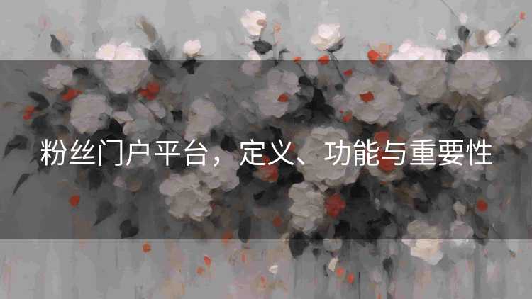 粉丝门户平台，定义、功能与重要性