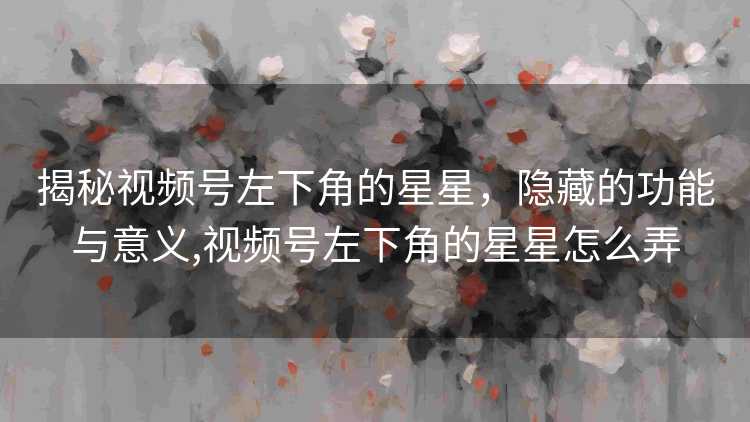 揭秘视频号左下角的星星，隐藏的功能与意义,视频号左下角的星星怎么弄
