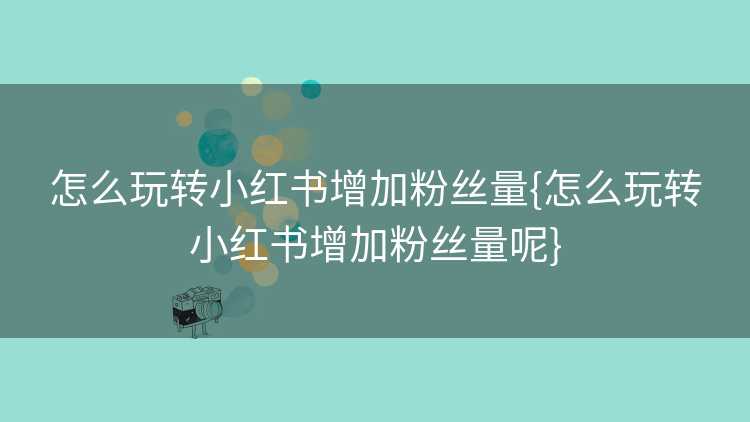 怎么玩转小红书增加粉丝量{怎么玩转小红书增加粉丝量呢}