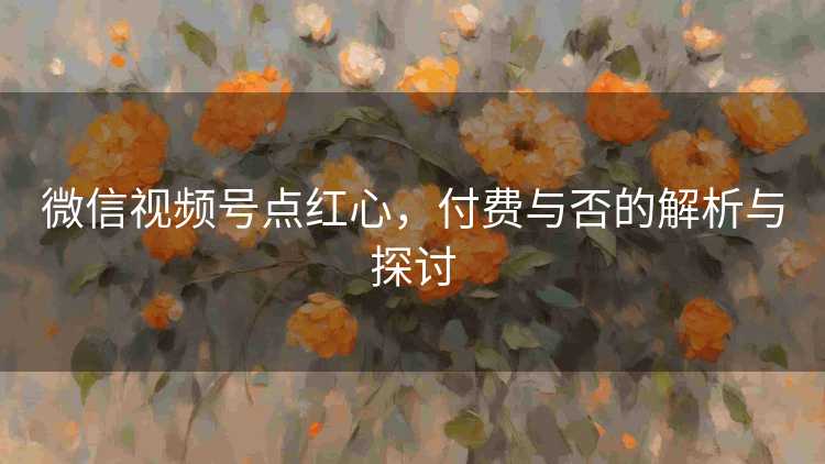 微信视频号点红心，付费与否的解析与探讨