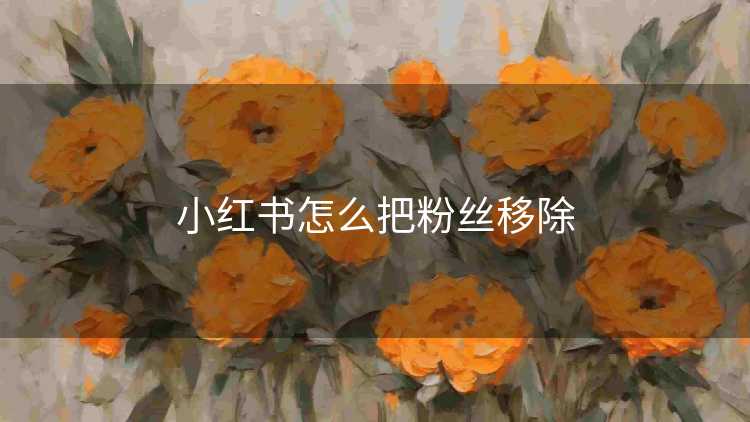 小红书怎么把粉丝移除