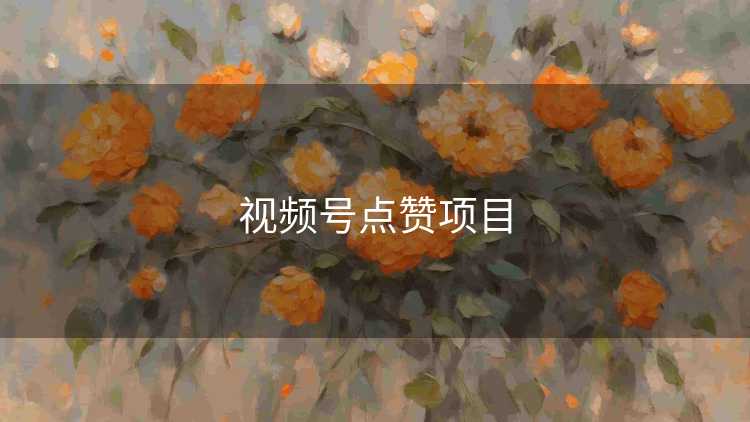 视频号点赞项目