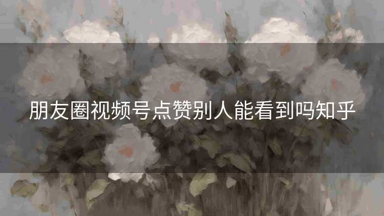 朋友圈视频号点赞别人能看到吗知乎