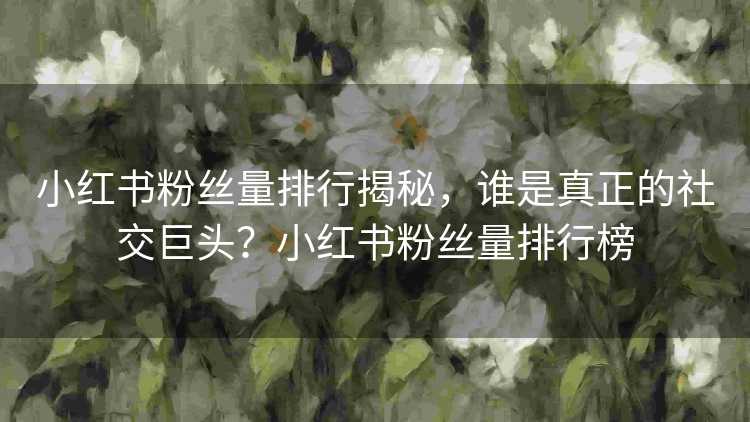 小红书粉丝量排行揭秘，谁是真正的社交巨头？小红书粉丝量排行榜