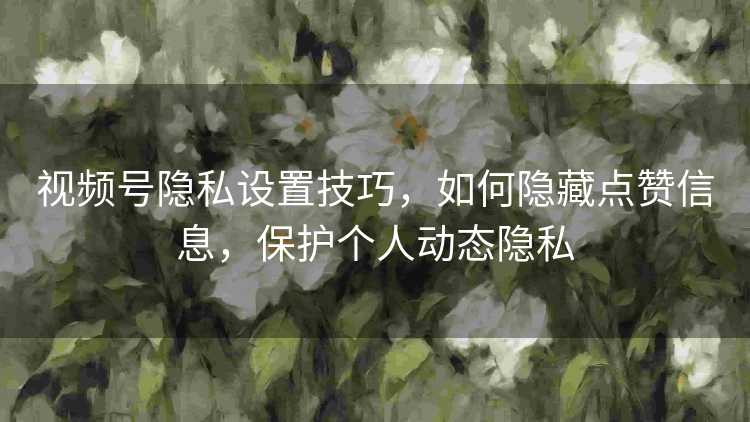 视频号隐私设置技巧，如何隐藏点赞信息，保护个人动态隐私
