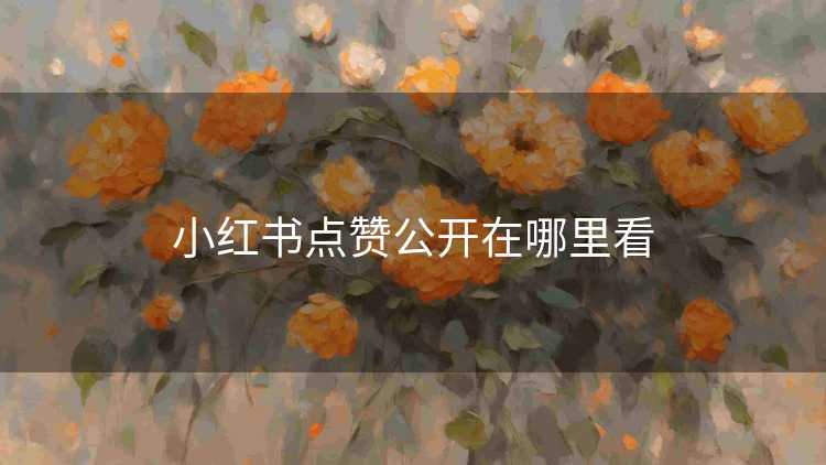 小红书点赞公开在哪里看