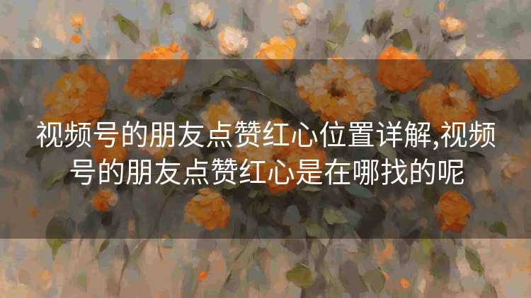 视频号的朋友点赞红心位置详解,视频号的朋友点赞红心是在哪找的呢