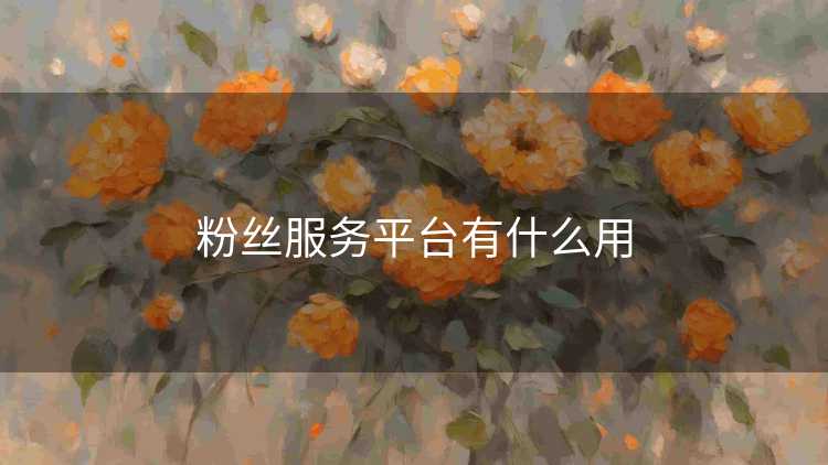 粉丝服务平台有什么用