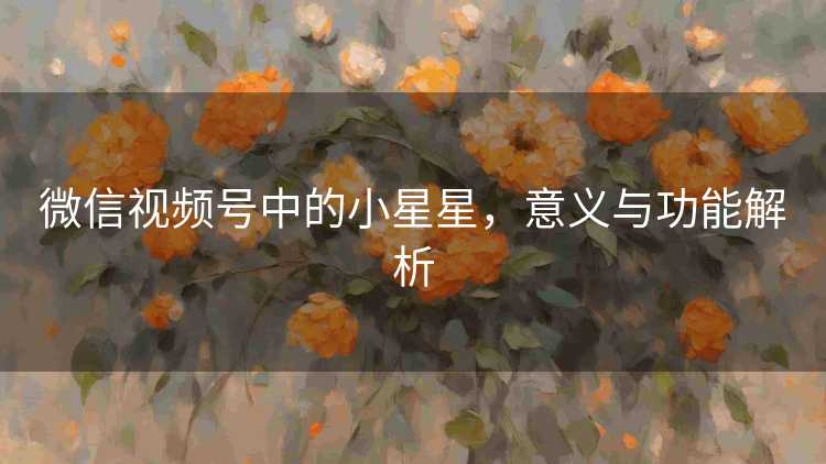 微信视频号中的小星星，意义与功能解析