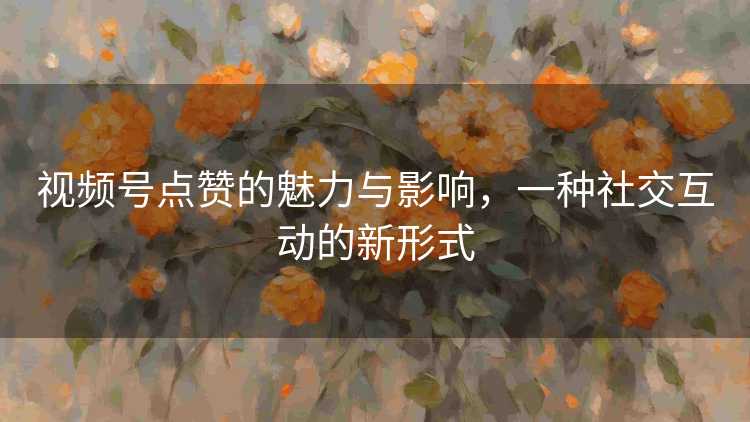 视频号点赞的魅力与影响，一种社交互动的新形式