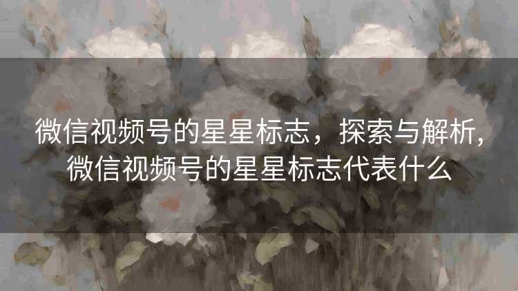 微信视频号的星星标志，探索与解析,微信视频号的星星标志代表什么