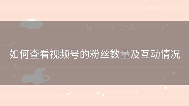 如何查看视频号的粉丝数量及互动情况