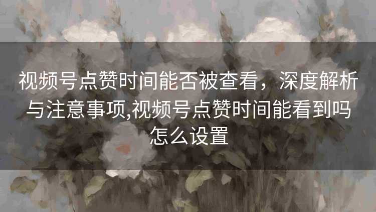 视频号点赞时间能否被查看，深度解析与注意事项,视频号点赞时间能看到吗怎么设置