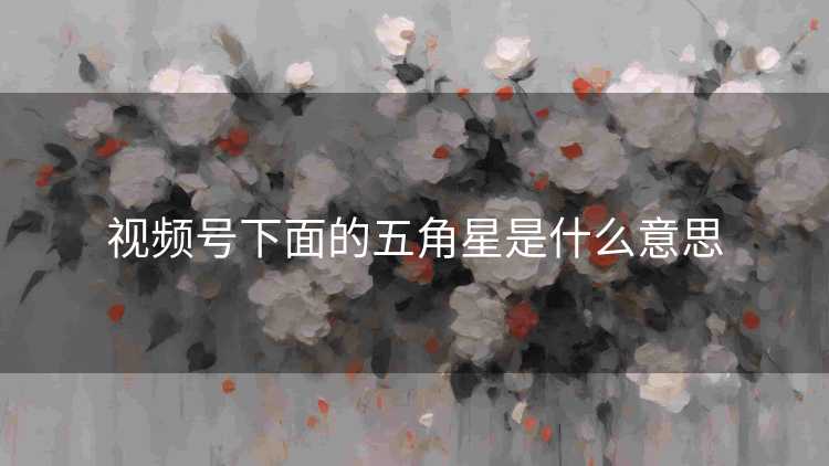视频号下面的五角星是什么意思