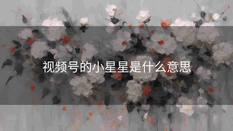 视频号的小星星是什么意思