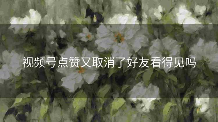 视频号点赞又取消了好友看得见吗