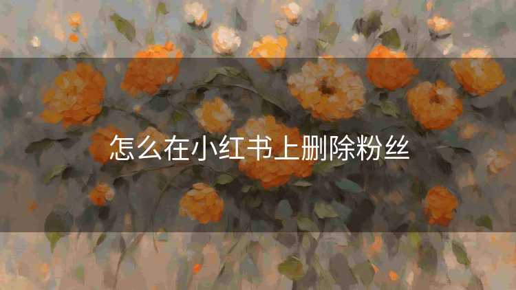 怎么在小红书上删除粉丝