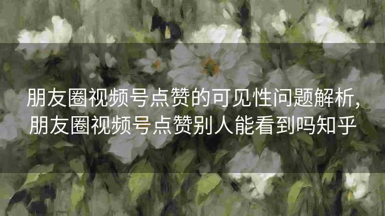 朋友圈视频号点赞的可见性问题解析,朋友圈视频号点赞别人能看到吗知乎