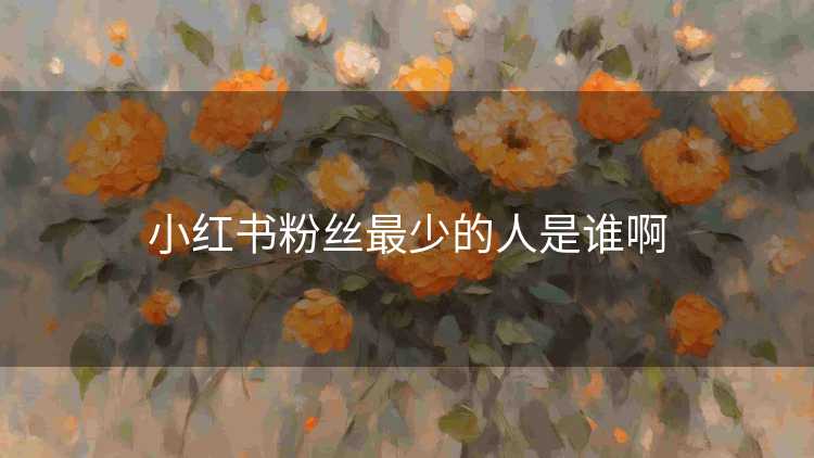 小红书粉丝最少的人是谁啊