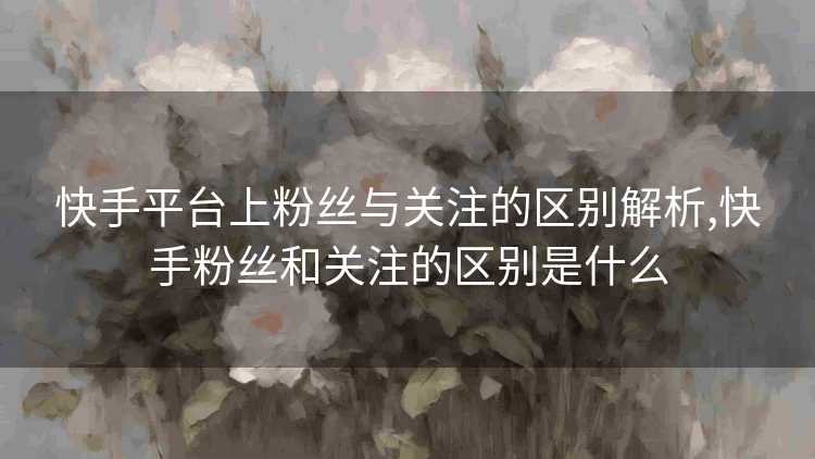 快手平台上粉丝与关注的区别解析,快手粉丝和关注的区别是什么