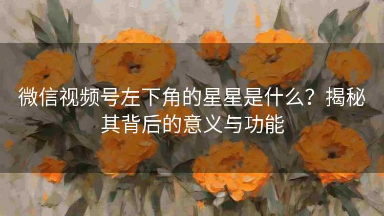 微信视频号左下角的星星是什么？揭秘其背后的意义与功能