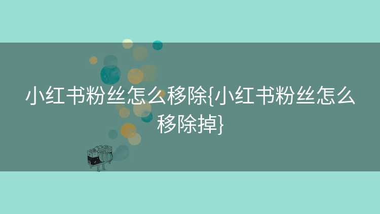 小红书粉丝怎么移除{小红书粉丝怎么移除掉}