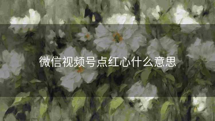微信视频号点红心什么意思
