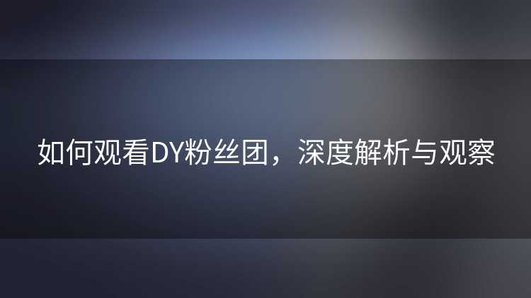如何观看DY粉丝团，深度解析与观察