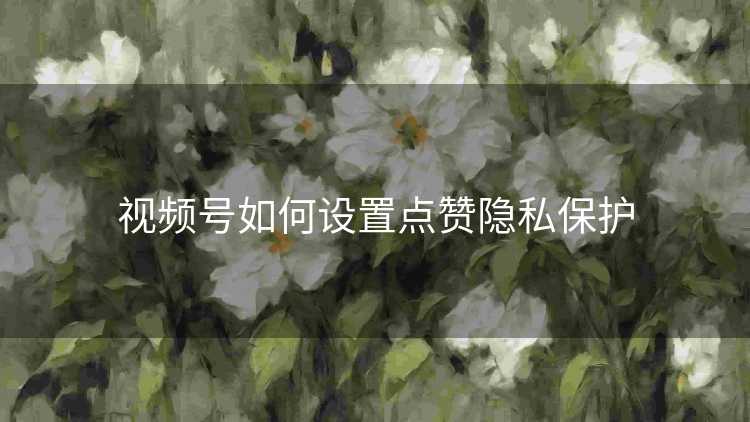 视频号如何设置点赞隐私保护