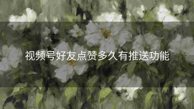 视频号好友点赞多久有推送功能