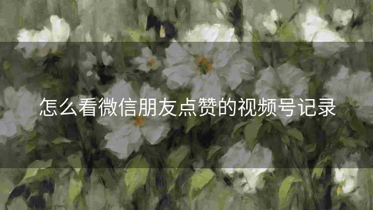 怎么看微信朋友点赞的视频号记录