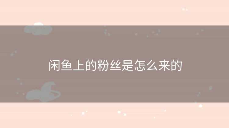 闲鱼上的粉丝是怎么来的