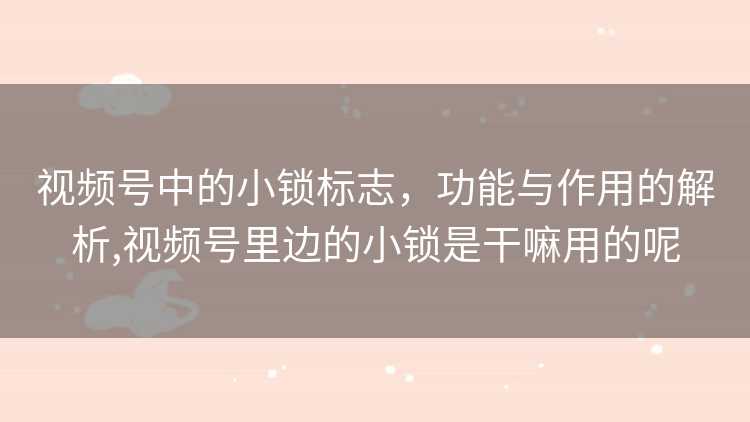 视频号中的小锁标志，功能与作用的解析,视频号里边的小锁是干嘛用的呢