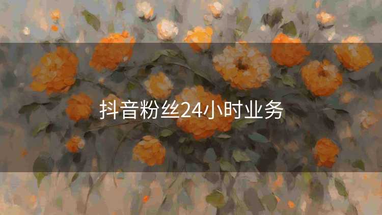 抖音粉丝24小时业务