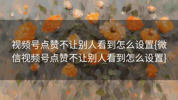 视频号点赞不让别人看到怎么设置{微信视频号点赞不让别人看到怎么设置}