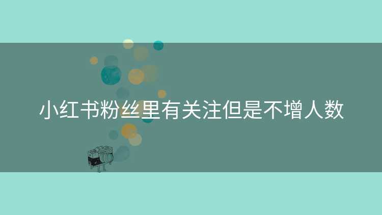 小红书粉丝里有关注但是不增人数