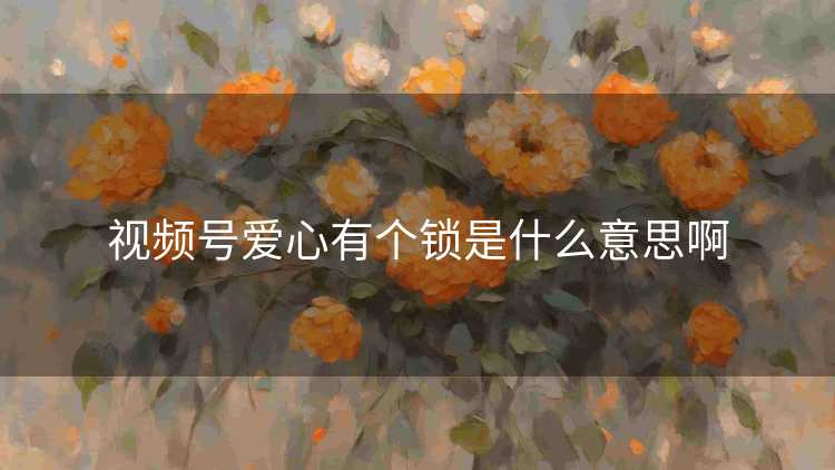 视频号爱心有个锁是什么意思啊