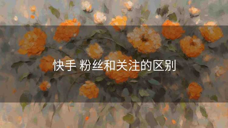 快手 粉丝和关注的区别