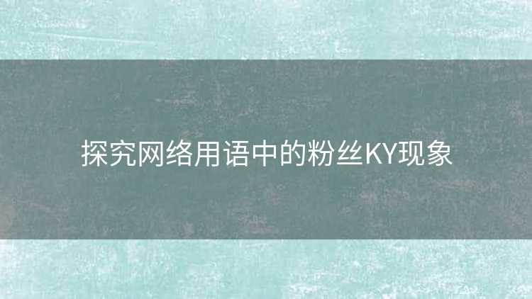 探究网络用语中的粉丝KY现象