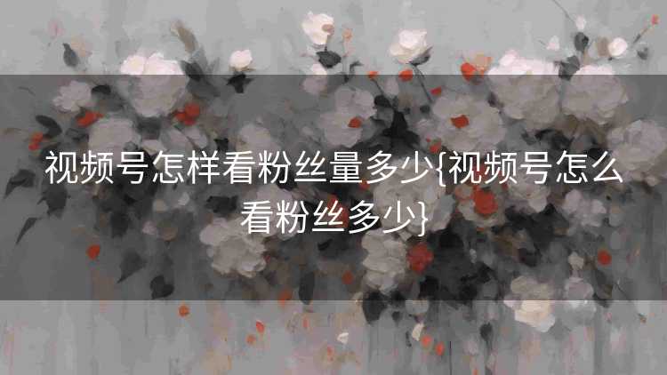 视频号怎样看粉丝量多少{视频号怎么看粉丝多少}