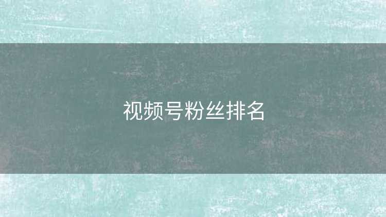 视频号粉丝排名