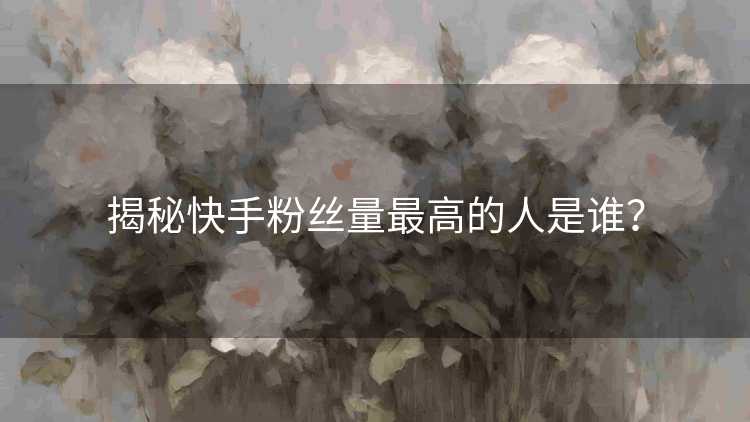 揭秘快手粉丝量最高的人是谁？