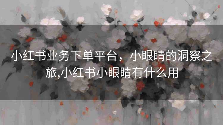 小红书业务下单平台，小眼睛的洞察之旅,小红书小眼睛有什么用