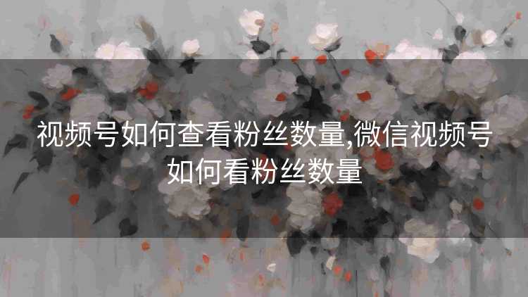 视频号如何查看粉丝数量,微信视频号如何看粉丝数量