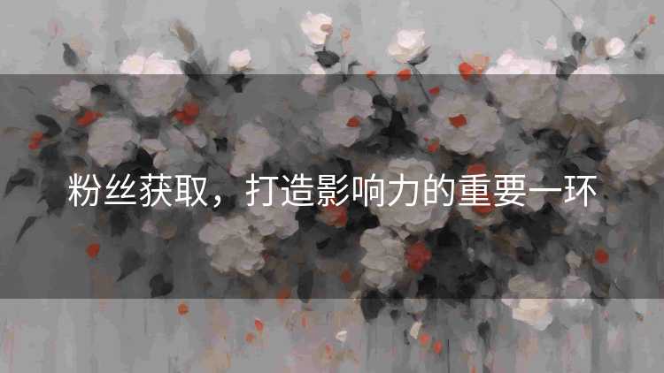 粉丝获取，打造影响力的重要一环