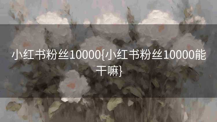 小红书粉丝10000{小红书粉丝10000能干嘛}