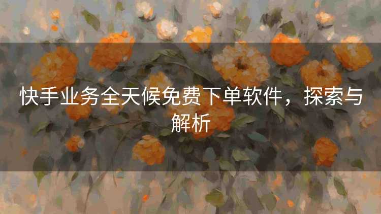 快手业务全天候免费下单软件，探索与解析