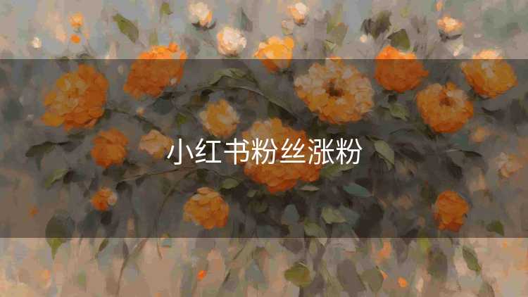 小红书粉丝涨粉