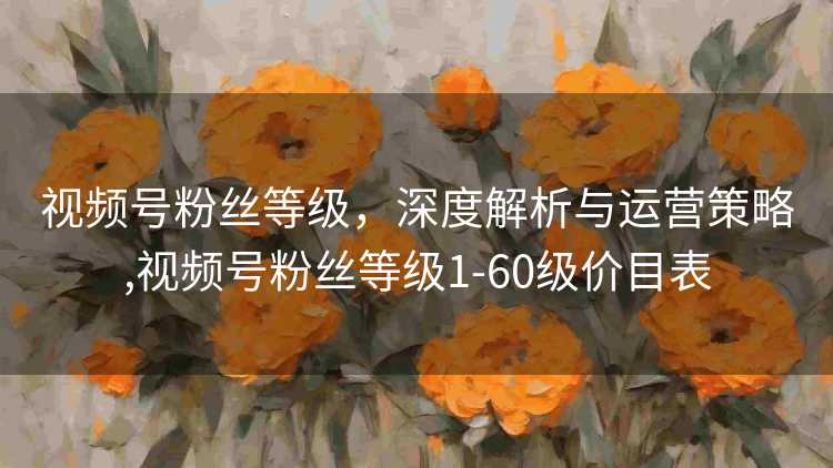 视频号粉丝等级，深度解析与运营策略,视频号粉丝等级1-60级价目表